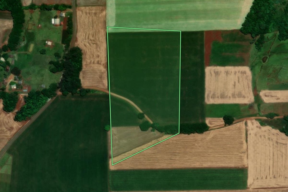 Imagem de satélite do imóvel rural em Santa Rosa (RS), com o contorno declarado no CAR desenhado por cima.