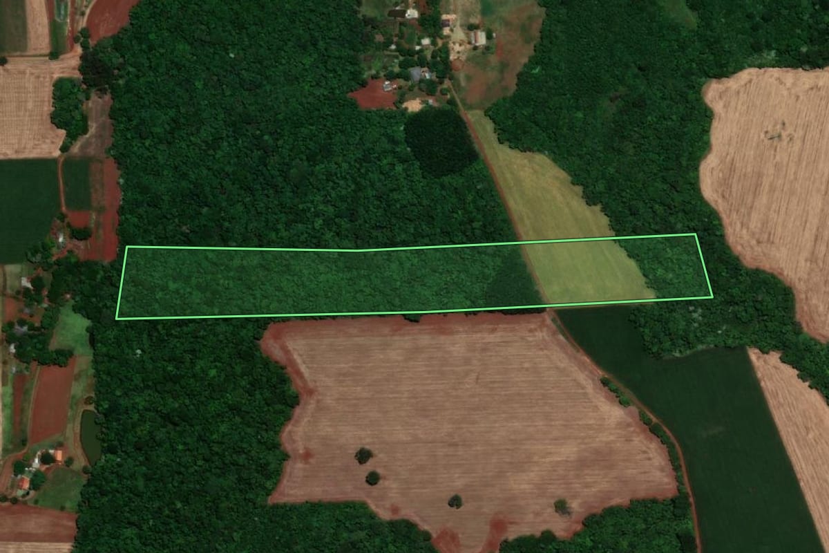 Imagem de satélite do imóvel rural em Santa Rosa (RS), com o contorno declarado no CAR desenhado por cima.