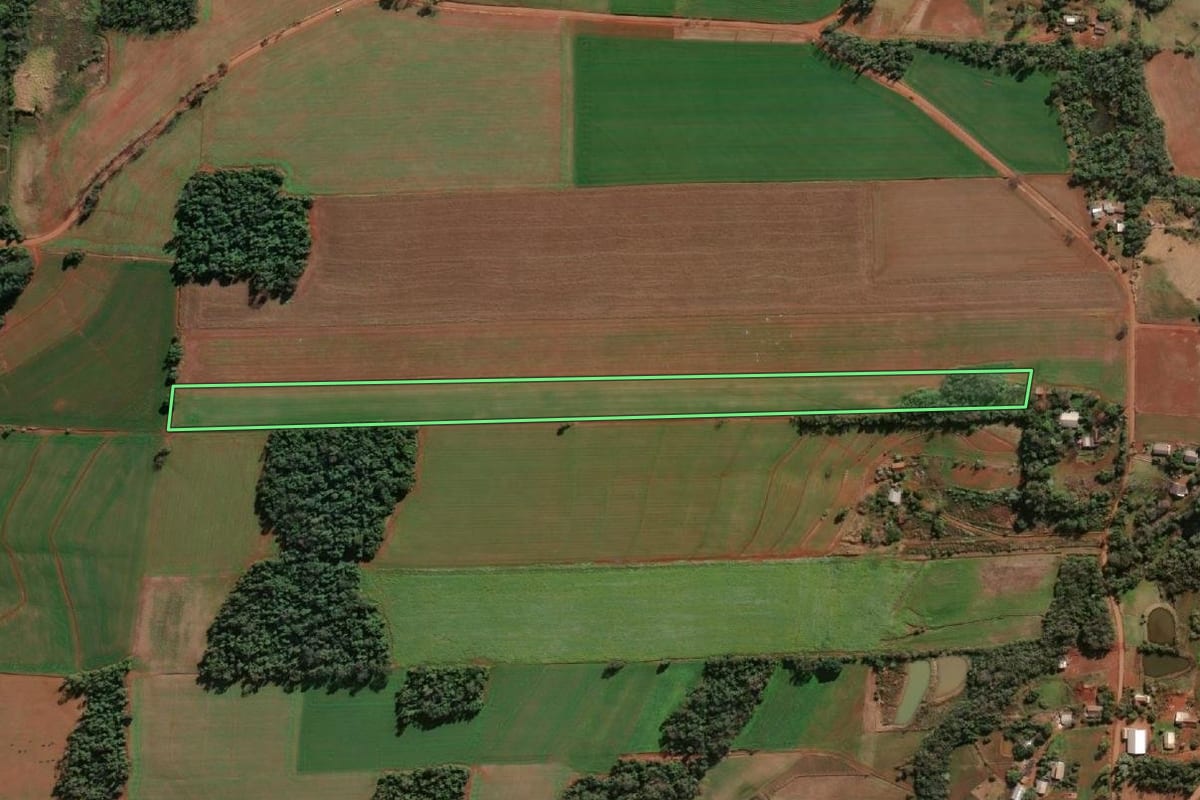 Imagem de satélite do imóvel rural em Santa Rosa (RS), com o contorno declarado no CAR desenhado por cima.