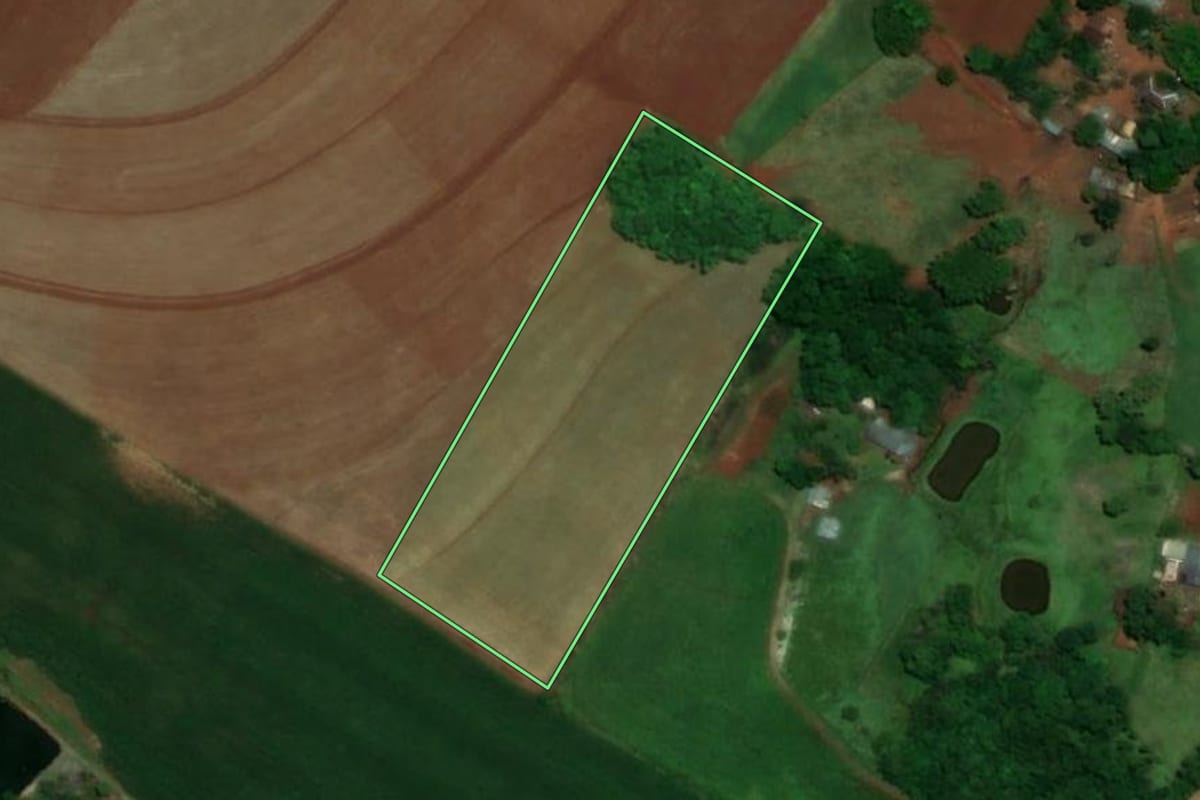 Imagem de satélite do imóvel rural em Santa Rosa (RS), com o contorno declarado no CAR desenhado por cima.