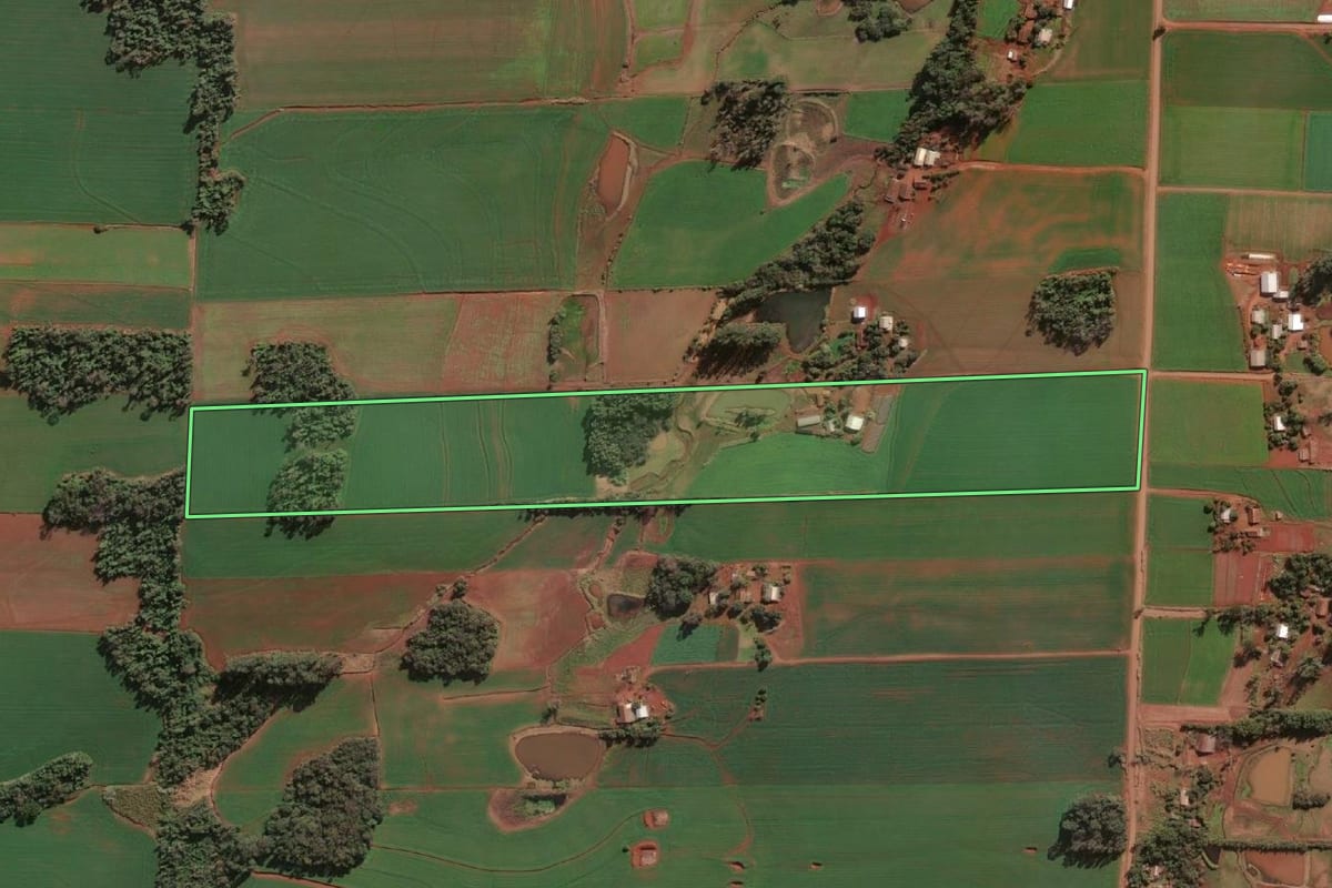 Imagem de satélite do imóvel rural em Santa Rosa (RS), com o contorno declarado no CAR desenhado por cima.