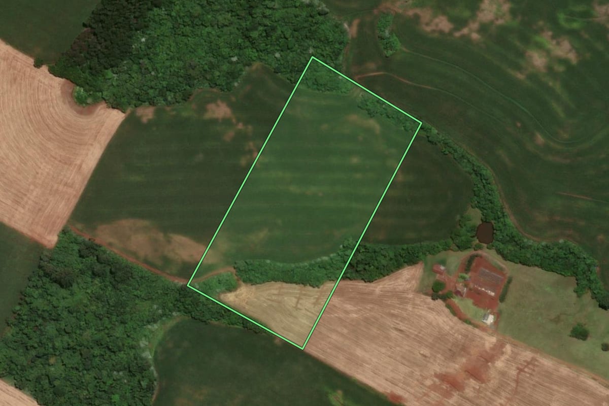 Imagem de satélite do imóvel rural em Santa Rosa (RS), com o contorno declarado no CAR desenhado por cima.