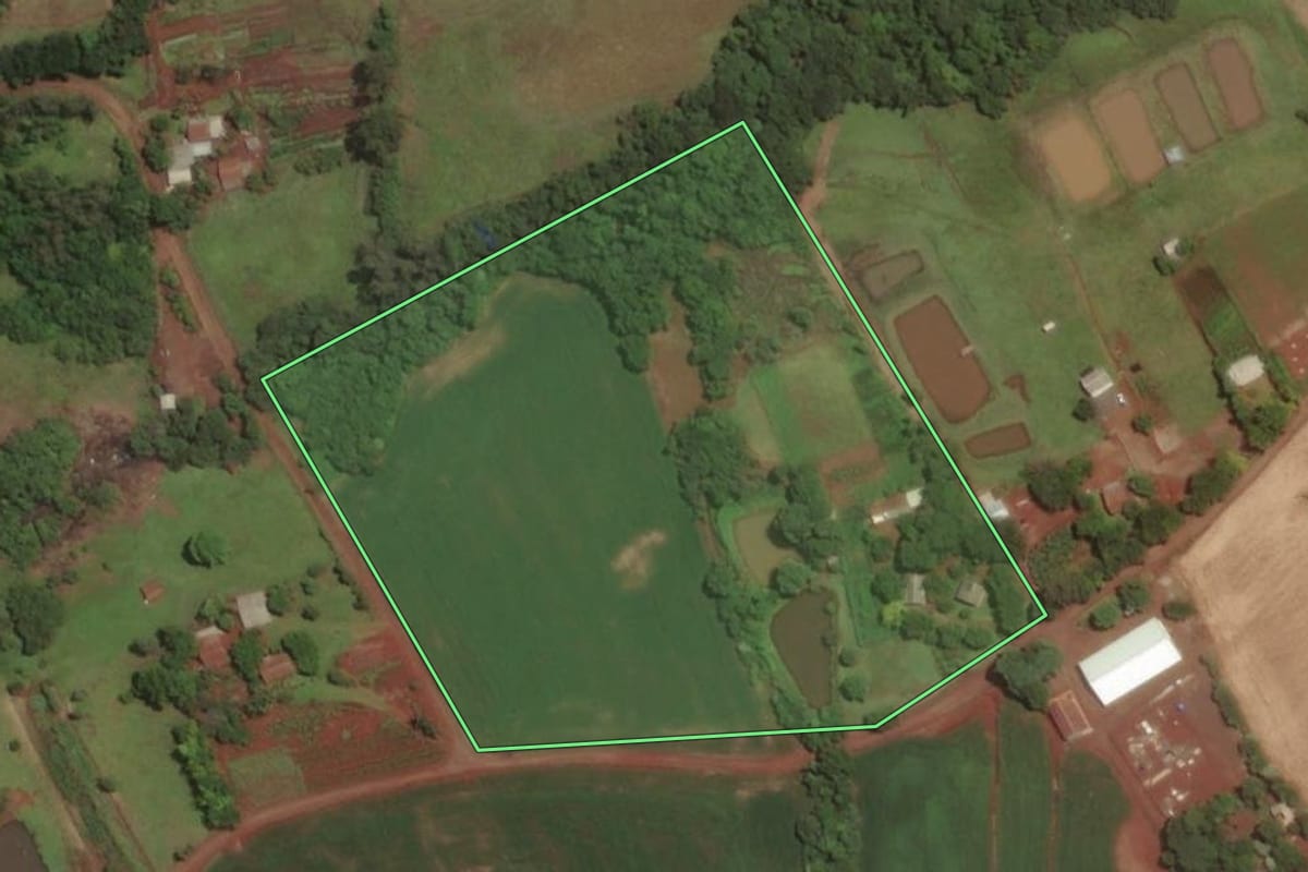 Imagem de satélite do imóvel rural em Santa Rosa (RS), com o contorno declarado no CAR desenhado por cima.