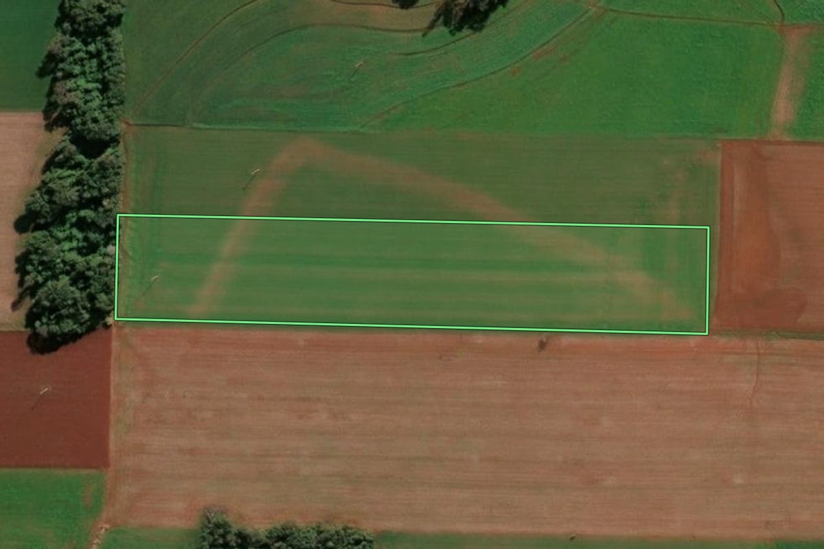 Imagem de satélite do imóvel rural em Santa Rosa (RS), com o contorno declarado no CAR desenhado por cima.