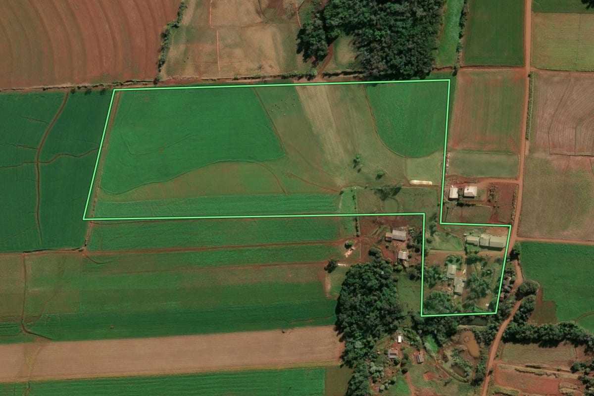 Imagem de satélite do imóvel rural em Santa Rosa (RS), com o contorno declarado no CAR desenhado por cima.