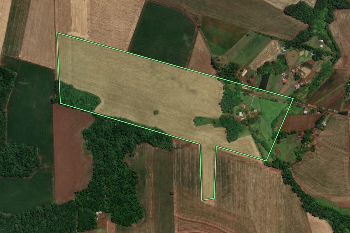 Imagem de satélite do imóvel rural em Santa Rosa (RS), com o contorno declarado no CAR desenhado por cima.