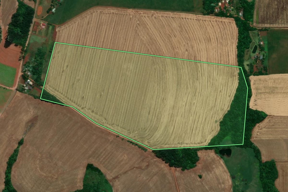 Imagem de satélite do imóvel rural em Santa Rosa (RS), com o contorno declarado no CAR desenhado por cima.