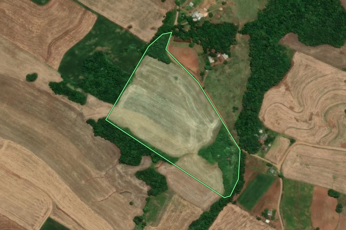Imagem de satélite do imóvel rural em Santa Rosa (RS), com o contorno declarado no CAR desenhado por cima.