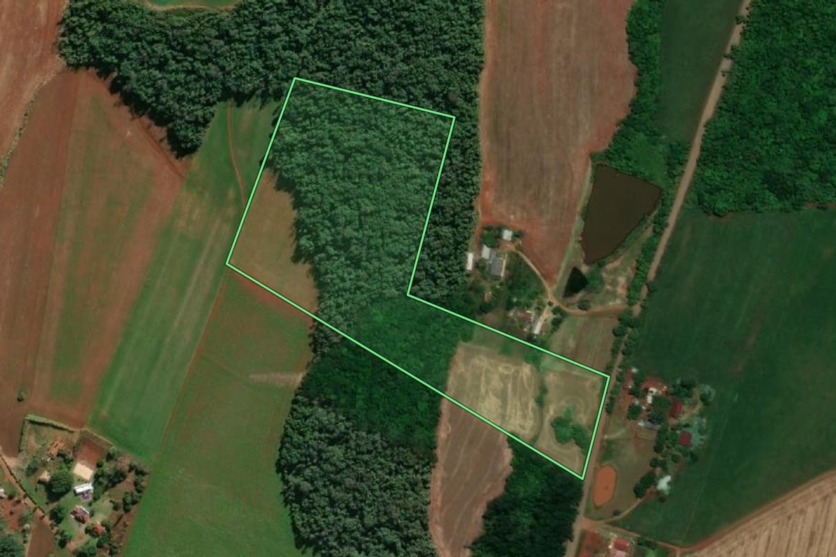 Imagem de satélite do imóvel rural em Santa Rosa (RS), com o contorno declarado no CAR desenhado por cima.