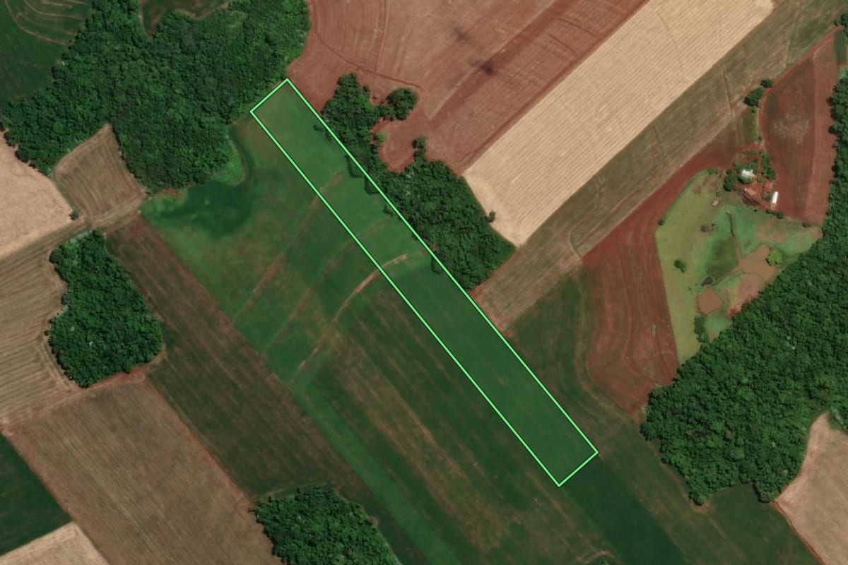 Imagem de satélite do imóvel rural em Santa Rosa (RS), com o contorno declarado no CAR desenhado por cima.