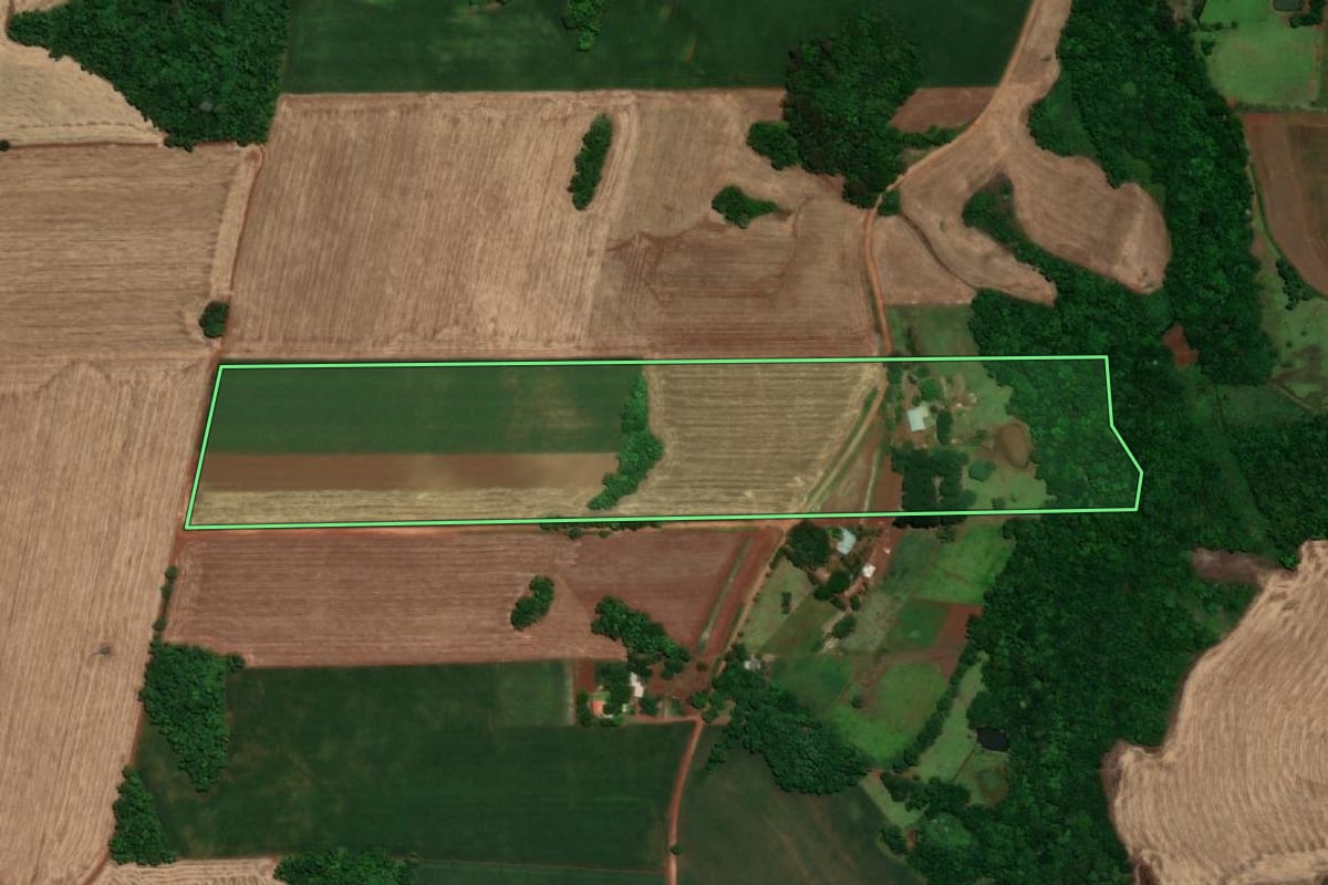 Imagem de satélite do imóvel rural em Santa Rosa (RS), com o contorno declarado no CAR desenhado por cima.