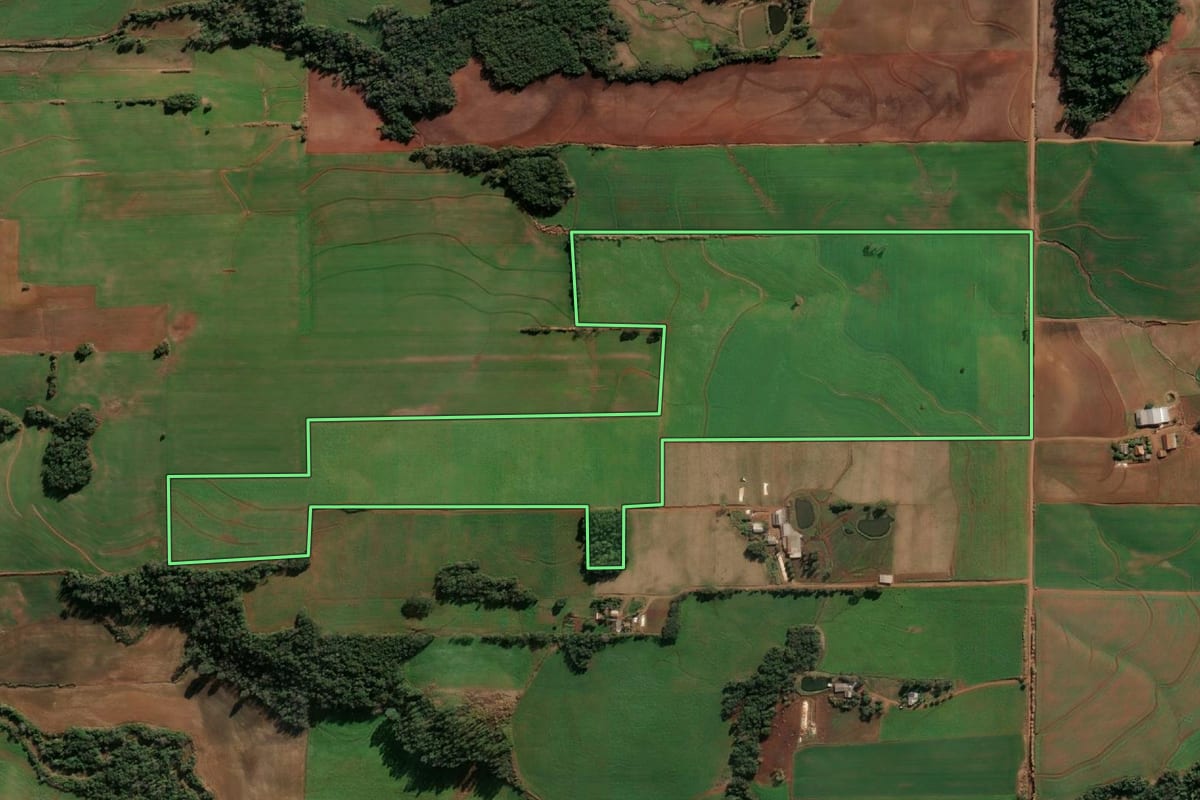 Imagem de satélite do imóvel rural em Santa Rosa (RS), com o contorno declarado no CAR desenhado por cima.