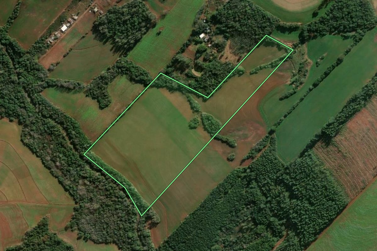 Imagem de satélite do imóvel rural em Santa Rosa (RS), com o contorno declarado no CAR desenhado por cima.