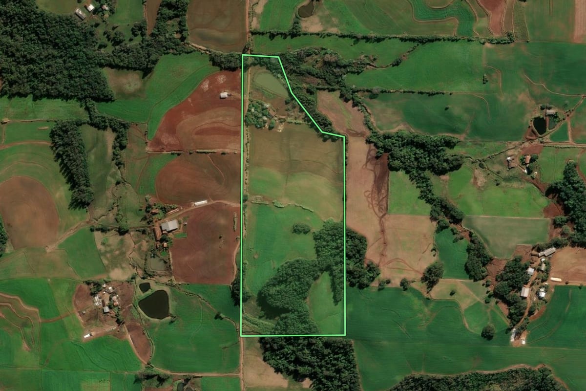 Imagem de satélite do imóvel rural em Santa Rosa (RS), com o contorno declarado no CAR desenhado por cima.