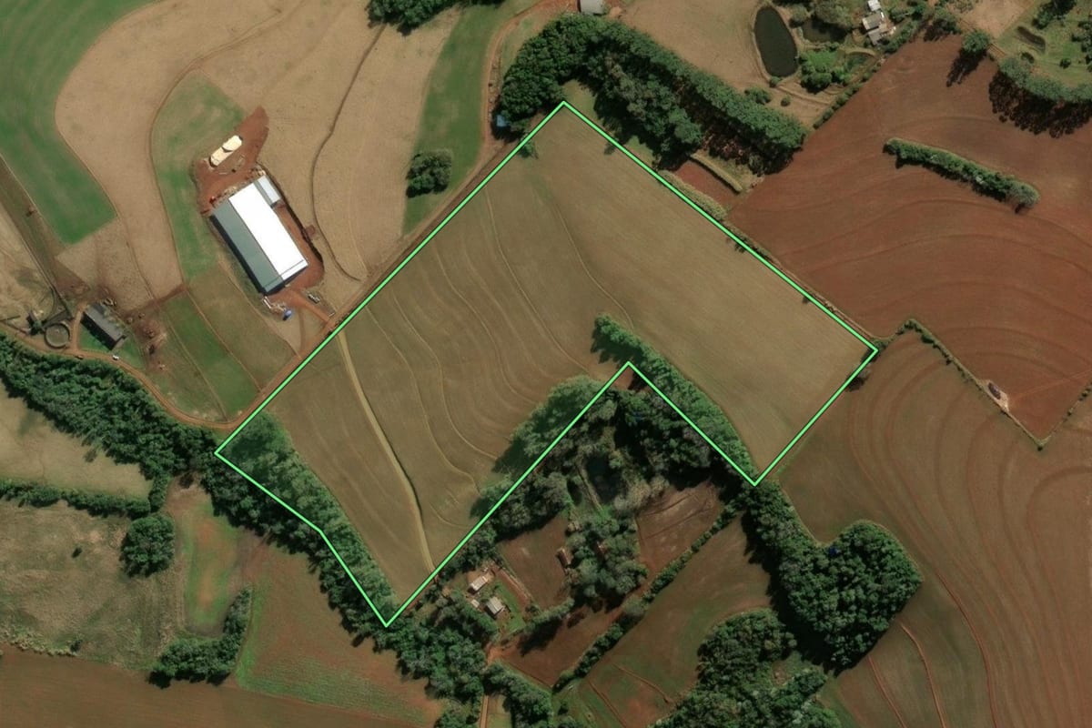 Imagem de satélite do imóvel rural em Santa Rosa (RS), com o contorno declarado no CAR desenhado por cima.