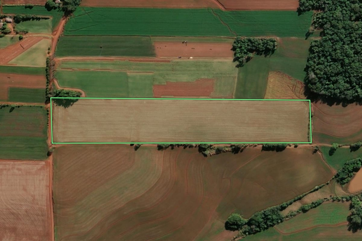 Imagem de satélite do imóvel rural em Santa Rosa (RS), com o contorno declarado no CAR desenhado por cima.