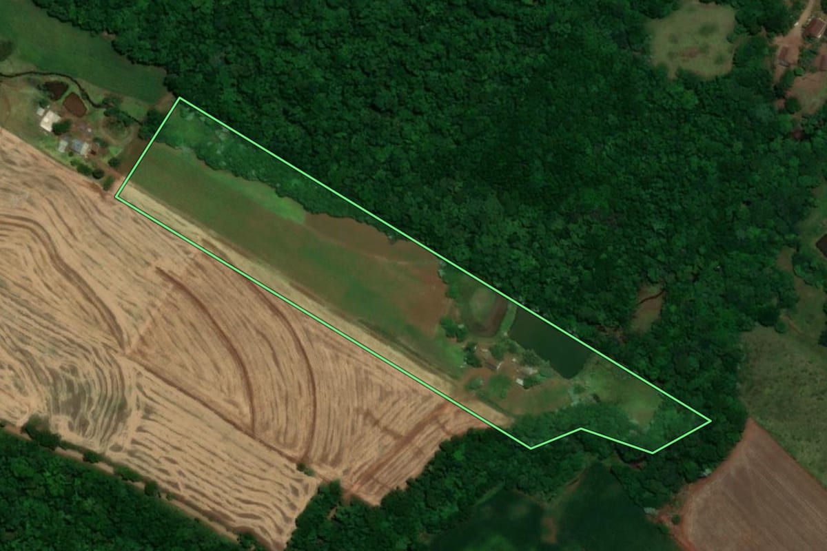 Imagem de satélite do imóvel rural em Santa Rosa (RS), com o contorno declarado no CAR desenhado por cima.