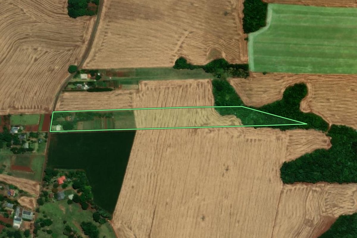 Imagem de satélite do imóvel rural em Santa Rosa (RS), com o contorno declarado no CAR desenhado por cima.