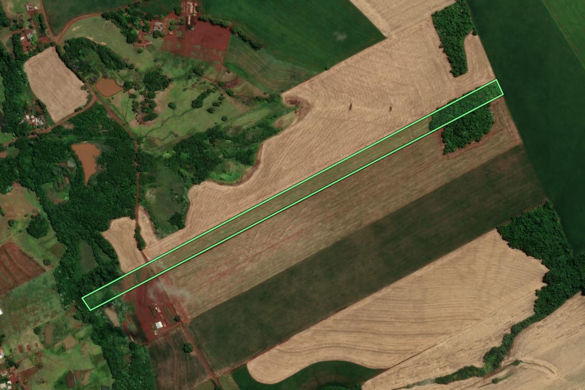 Imagem de satélite do imóvel rural em Santa Rosa (RS), com o contorno declarado no CAR desenhado por cima.