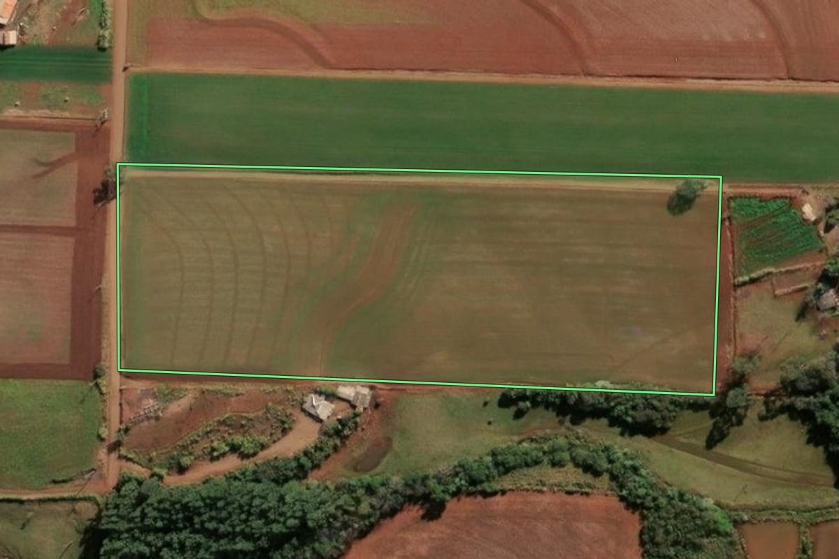 Imagem de satélite do imóvel rural em Santa Rosa (RS), com o contorno declarado no CAR desenhado por cima.