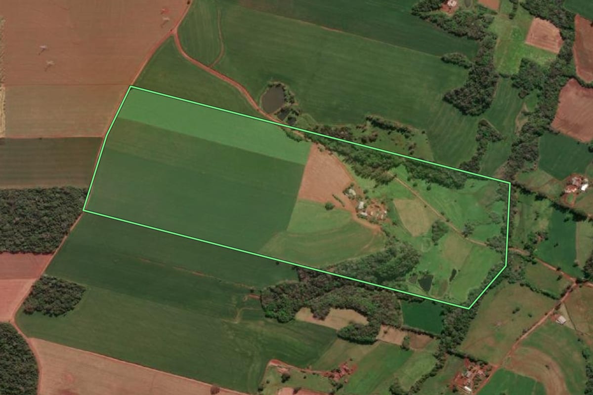 Imagem de satélite do imóvel rural em Santa Rosa (RS), com o contorno declarado no CAR desenhado por cima.