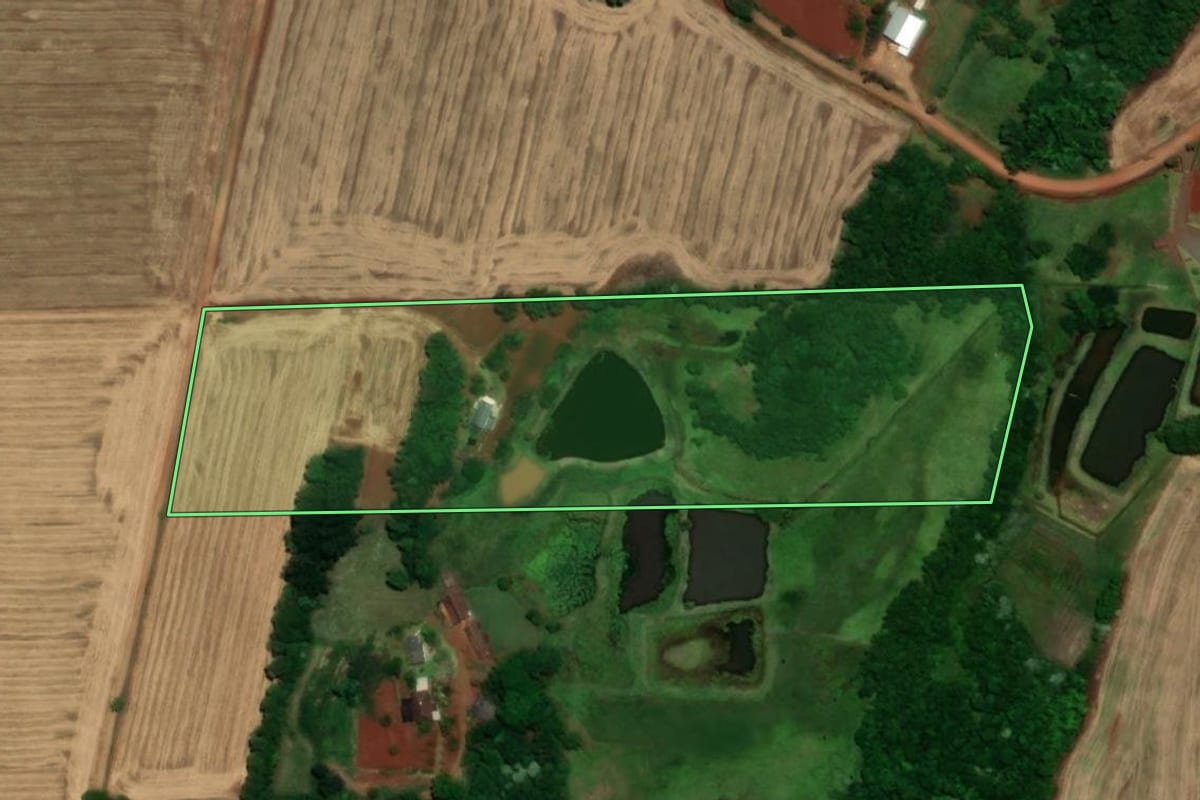 Imagem de satélite do imóvel rural em Santa Rosa (RS), com o contorno declarado no CAR desenhado por cima.