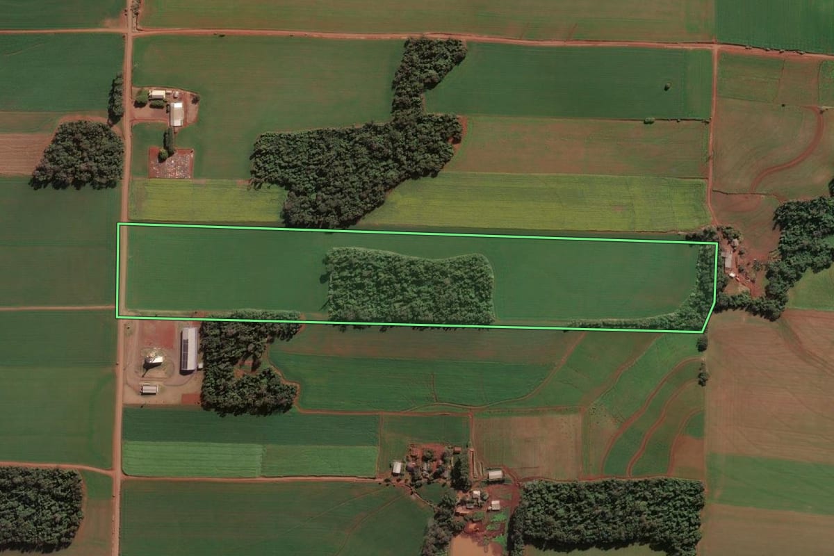 Imagem de satélite do imóvel rural em Santa Rosa (RS), com o contorno declarado no CAR desenhado por cima.