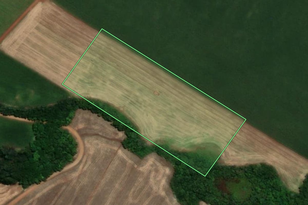 Imagem de satélite do imóvel rural em Santa Rosa (RS), com o contorno declarado no CAR desenhado por cima.