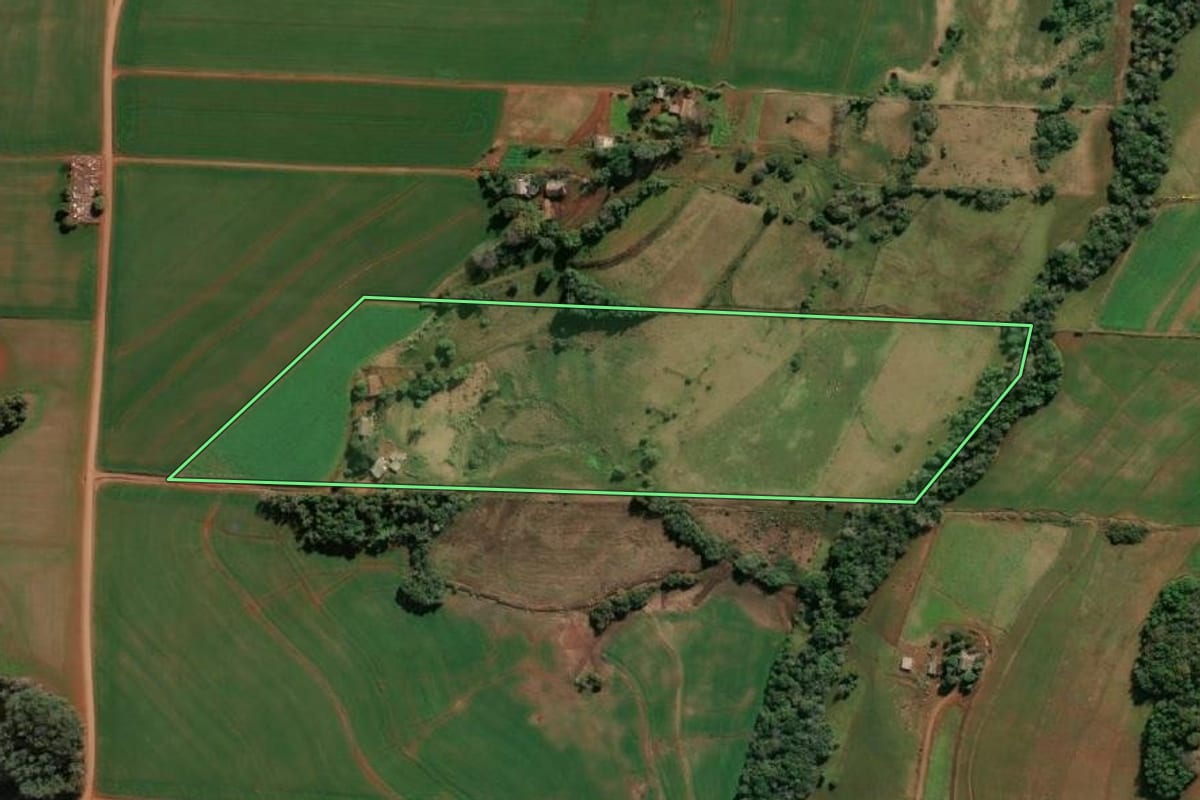 Imagem de satélite do imóvel rural em Santa Rosa (RS), com o contorno declarado no CAR desenhado por cima.