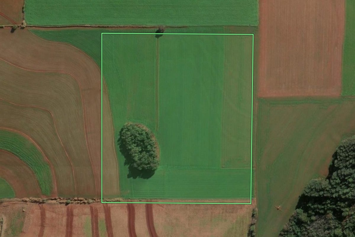 Imagem de satélite do imóvel rural em Santa Rosa (RS), com o contorno declarado no CAR desenhado por cima.