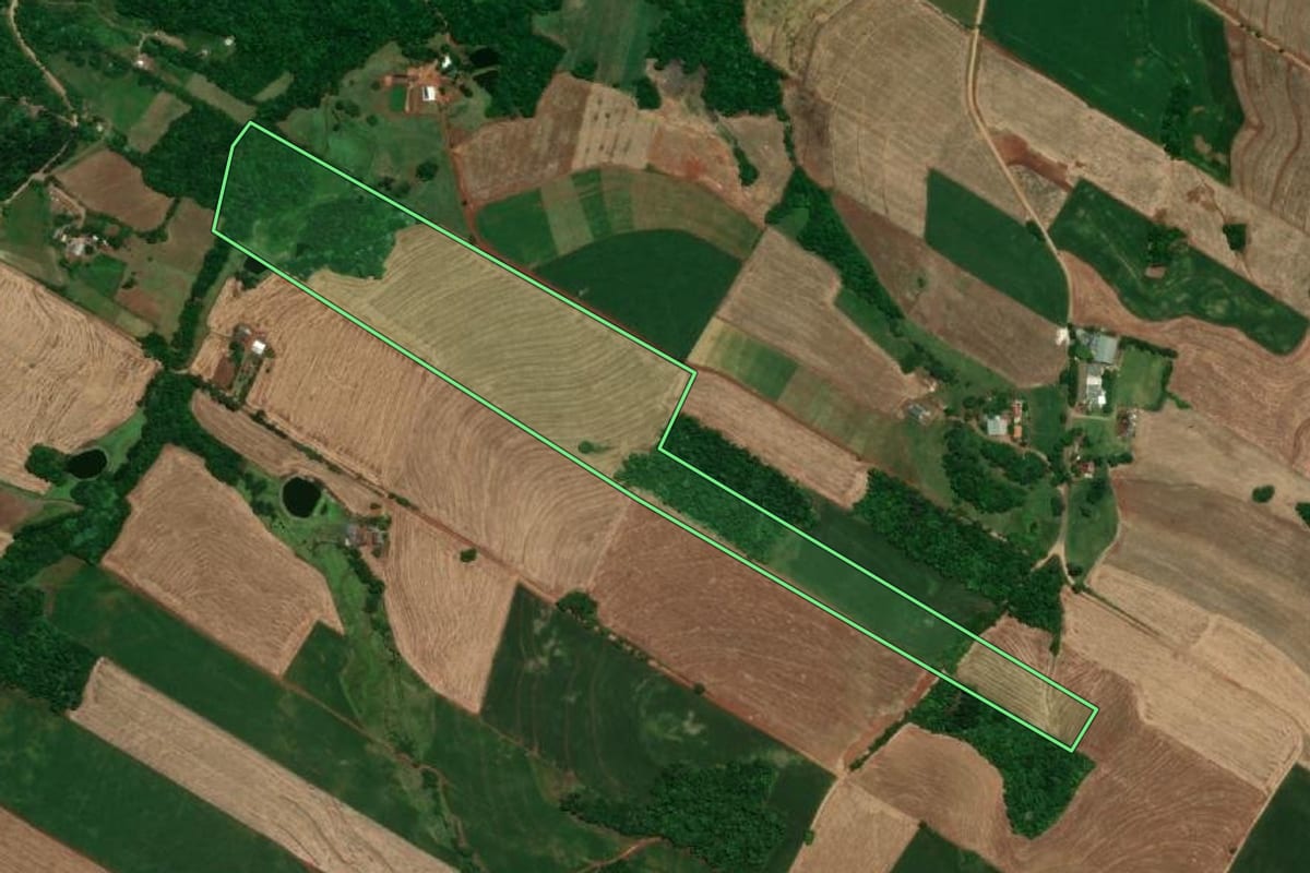 Imagem de satélite do imóvel rural em Santa Rosa (RS), com o contorno declarado no CAR desenhado por cima.