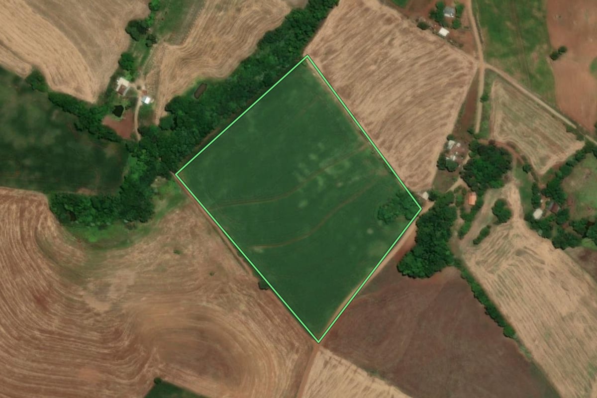 Imagem de satélite do imóvel rural em Santa Rosa (RS), com o contorno declarado no CAR desenhado por cima.