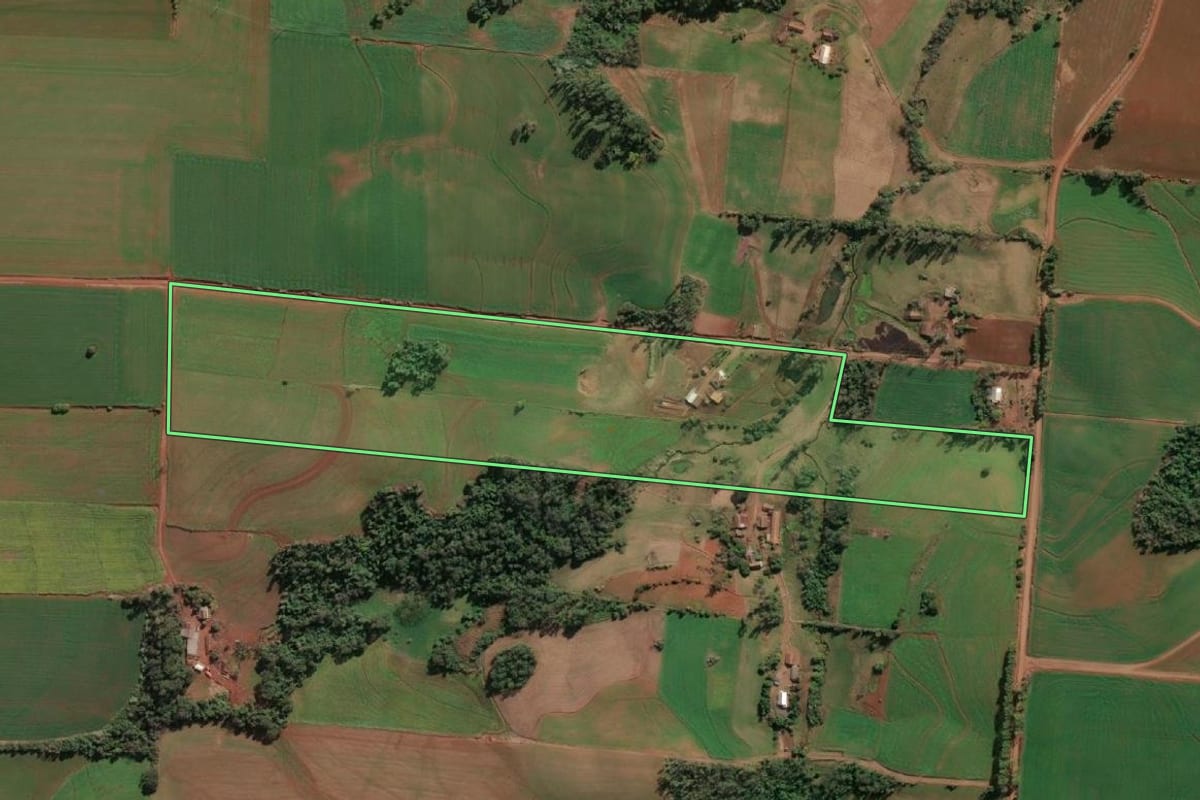 Imagem de satélite do imóvel rural em Santa Rosa (RS), com o contorno declarado no CAR desenhado por cima.