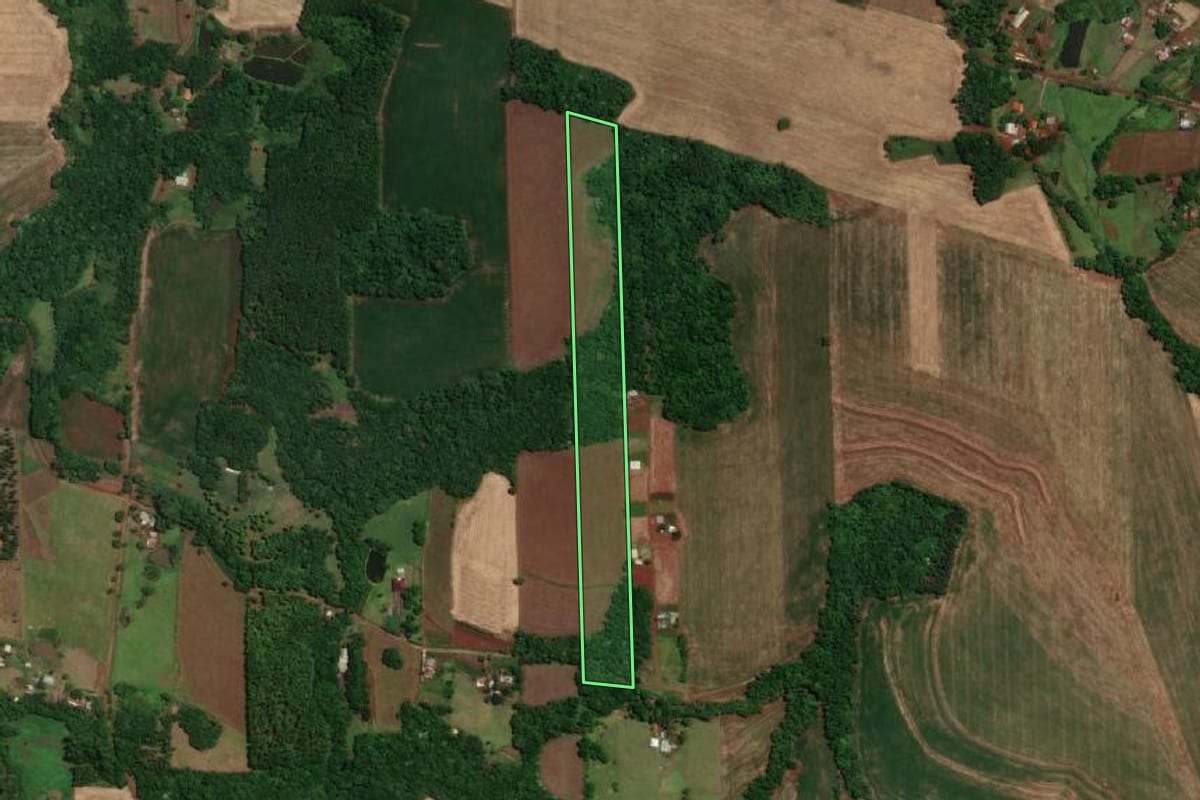 Imagem de satélite do imóvel rural em Santa Rosa (RS), com o contorno declarado no CAR desenhado por cima.