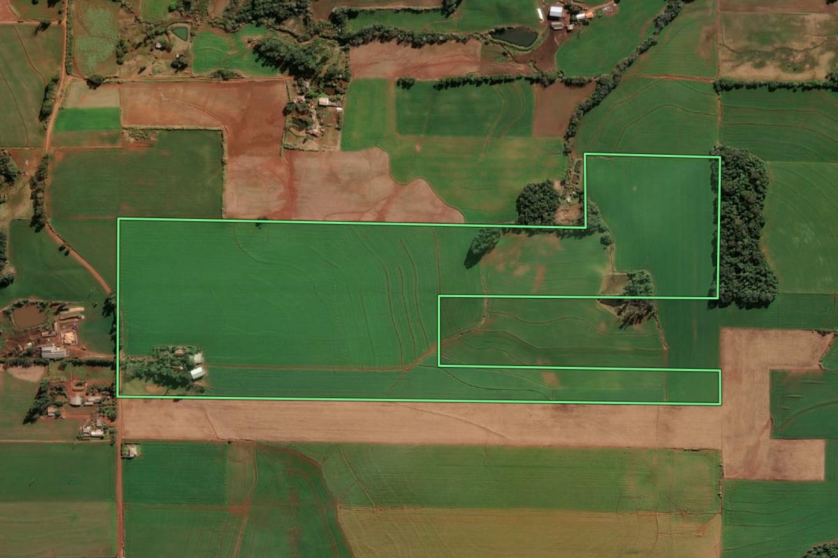 Imagem de satélite do imóvel rural em Santa Rosa (RS), com o contorno declarado no CAR desenhado por cima.