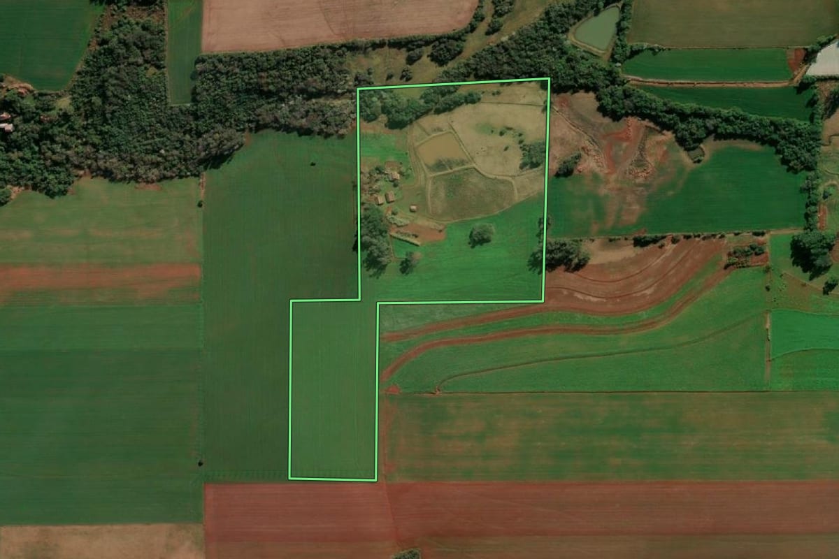 Imagem de satélite do imóvel rural em Santa Rosa (RS), com o contorno declarado no CAR desenhado por cima.