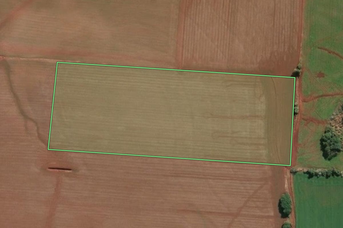 Imagem de satélite do imóvel rural em Santa Rosa (RS), com o contorno declarado no CAR desenhado por cima.