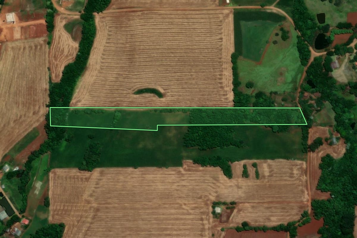 Imagem de satélite do imóvel rural em Santa Rosa (RS), com o contorno declarado no CAR desenhado por cima.