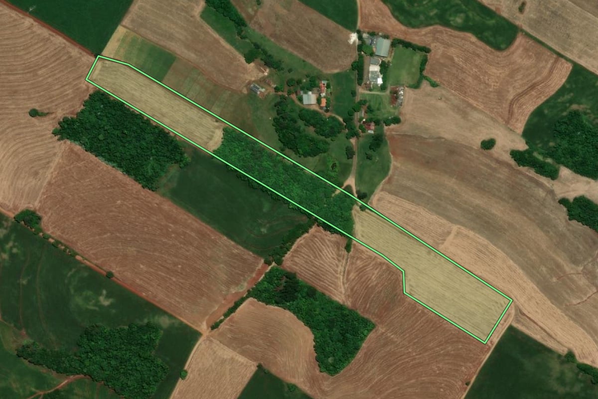 Imagem de satélite do imóvel rural em Santa Rosa (RS), com o contorno declarado no CAR desenhado por cima.