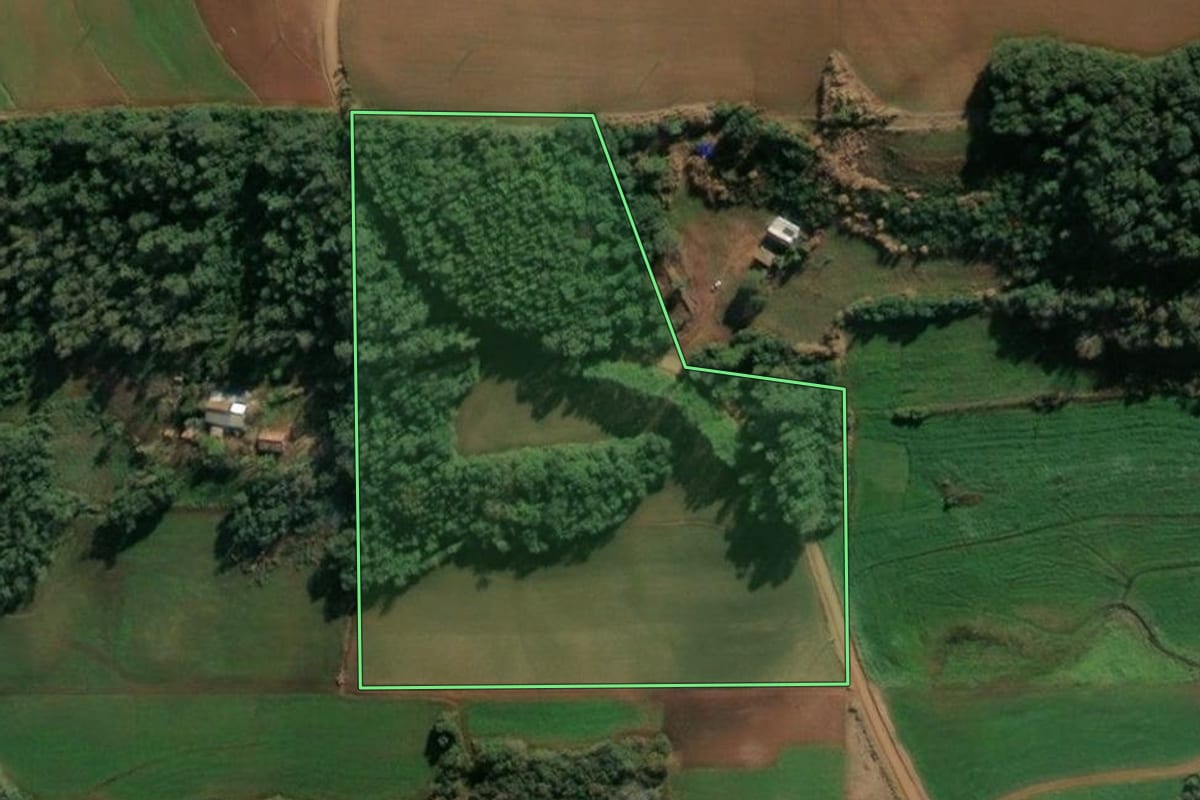 Imagem de satélite do imóvel rural em Santa Rosa (RS), com o contorno declarado no CAR desenhado por cima.