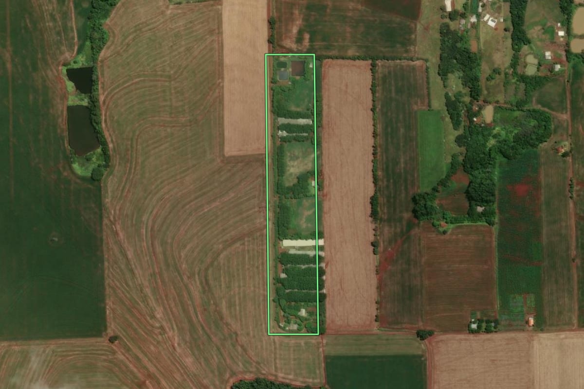 Imagem de satélite do imóvel rural em Santa Rosa (RS), com o contorno declarado no CAR desenhado por cima.