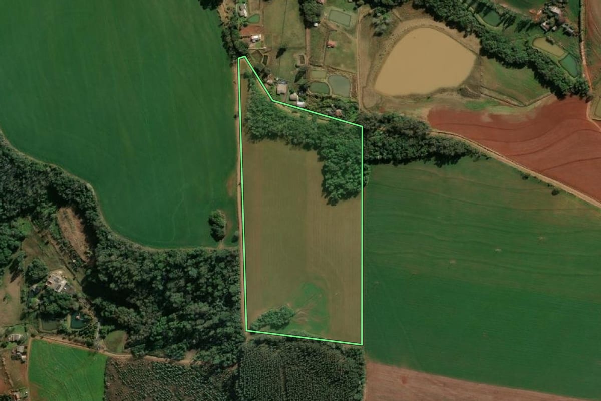 Imagem de satélite do imóvel rural em Santa Rosa (RS), com o contorno declarado no CAR desenhado por cima.