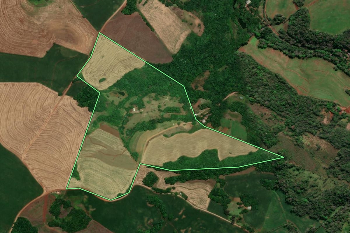 Imagem de satélite do imóvel rural em Santa Rosa (RS), com o contorno declarado no CAR desenhado por cima.