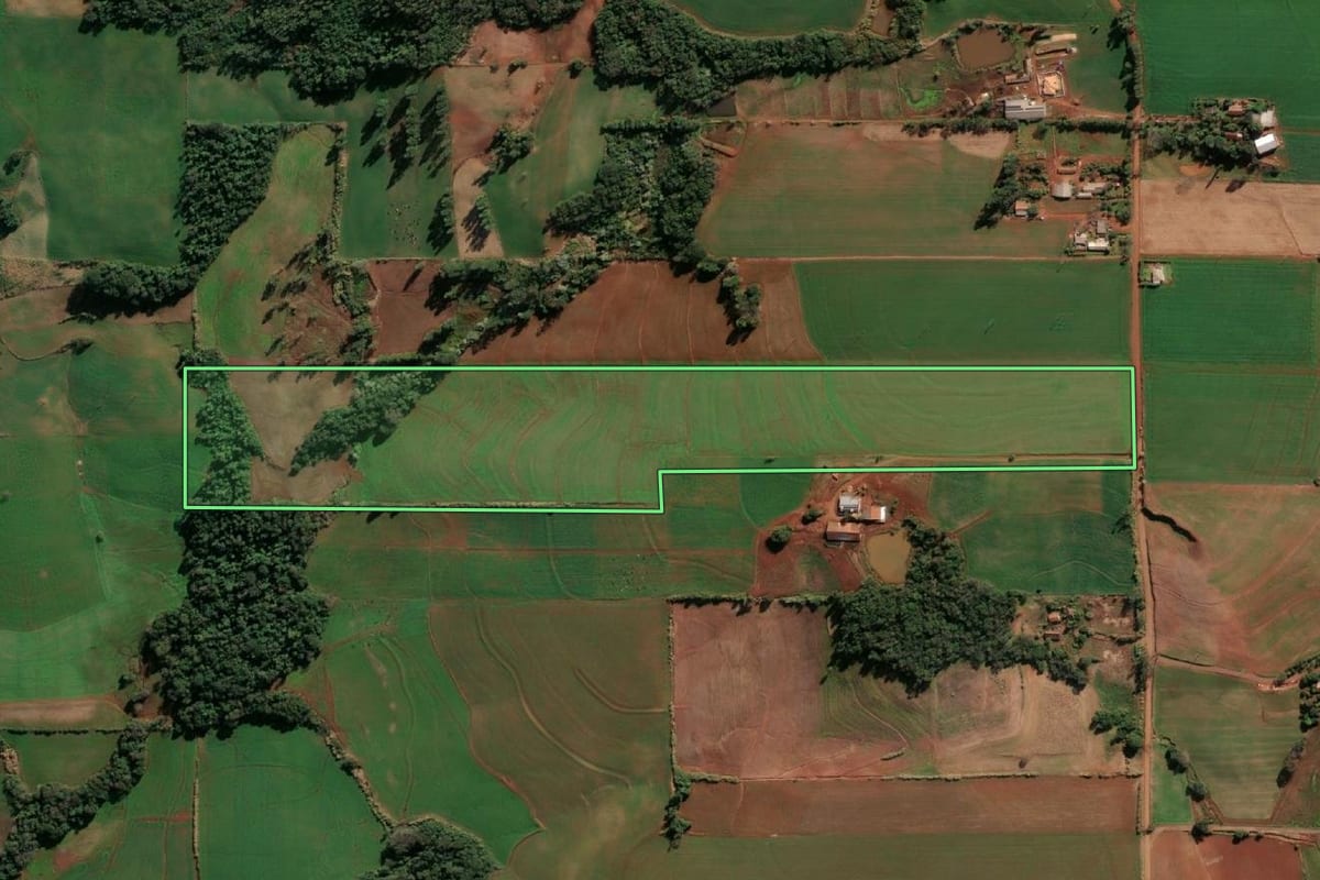 Imagem de satélite do imóvel rural em Santa Rosa (RS), com o contorno declarado no CAR desenhado por cima.