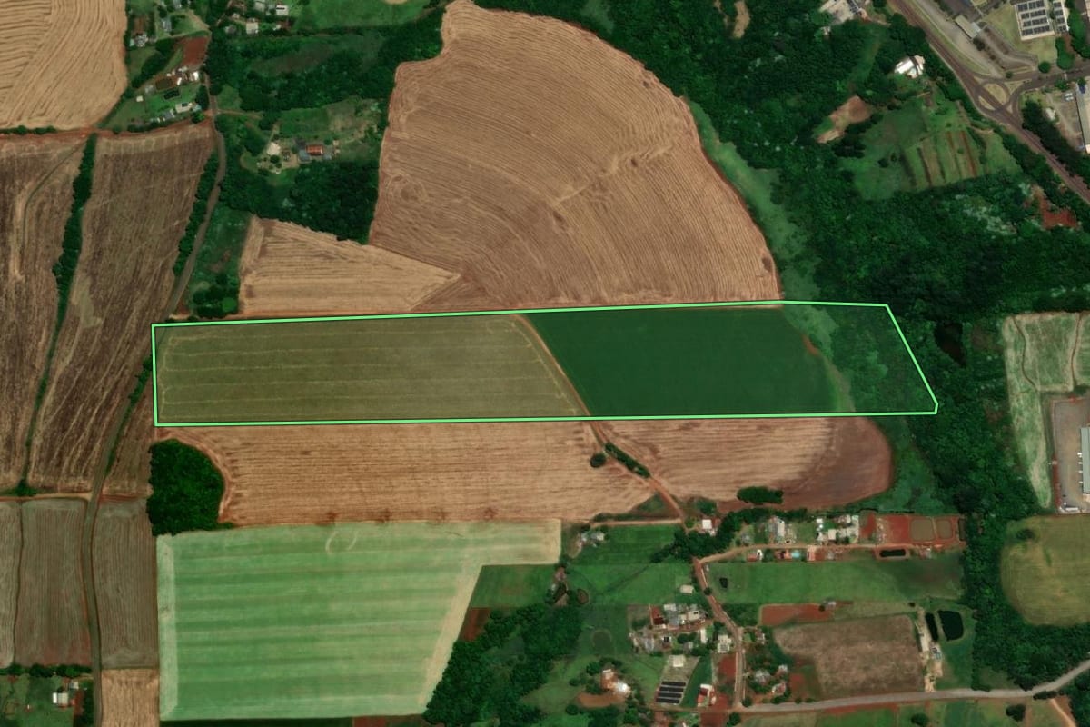 Imagem de satélite do imóvel rural em Santa Rosa (RS), com o contorno declarado no CAR desenhado por cima.