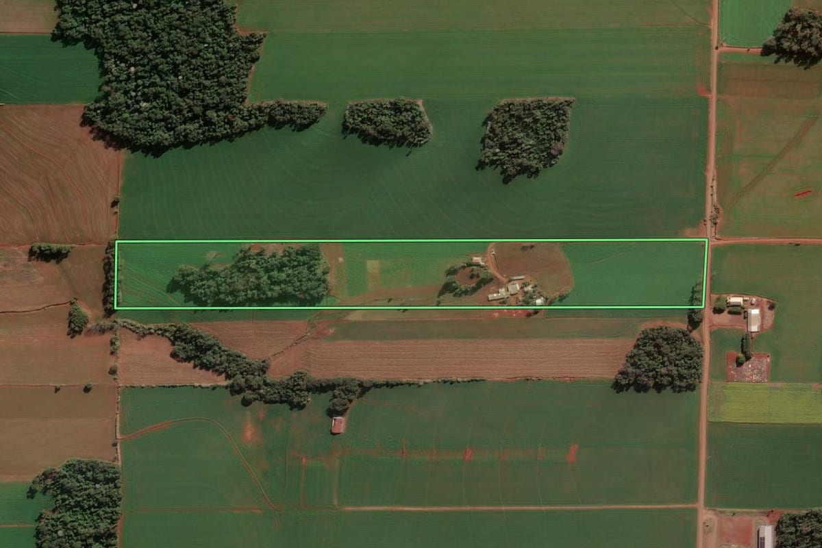 Imagem de satélite do imóvel rural em Santa Rosa (RS), com o contorno declarado no CAR desenhado por cima.