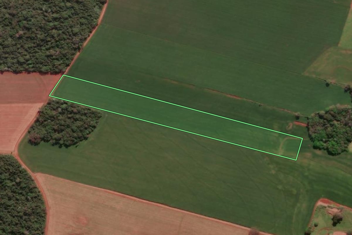 Imagem de satélite do imóvel rural em Santa Rosa (RS), com o contorno declarado no CAR desenhado por cima.