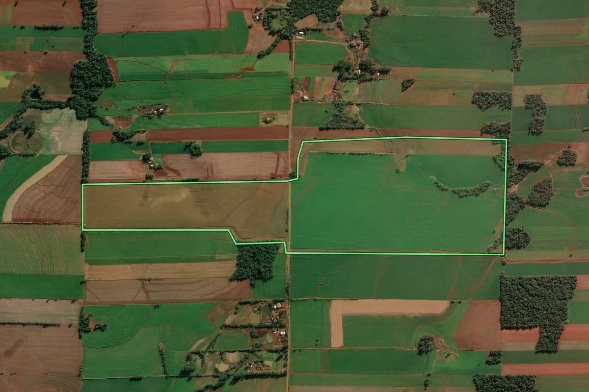 Imagem de satélite do imóvel rural em Santa Rosa (RS), com o contorno declarado no CAR desenhado por cima.
