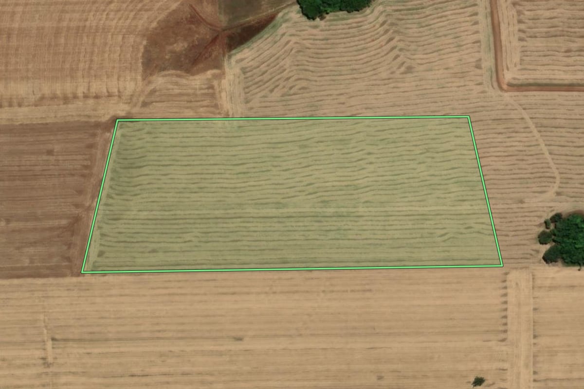 Imagem de satélite do imóvel rural em Santa Rosa (RS), com o contorno declarado no CAR desenhado por cima.