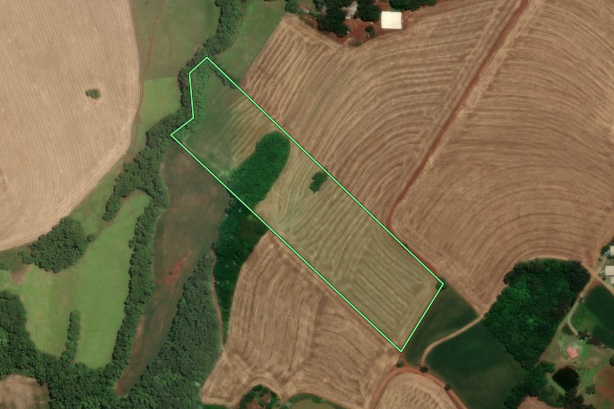 Imagem de satélite do imóvel rural em Santa Rosa (RS), com o contorno declarado no CAR desenhado por cima.